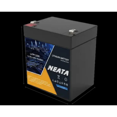 N-LFP1206 12,8V 6AH 4000 CICLOS - 1