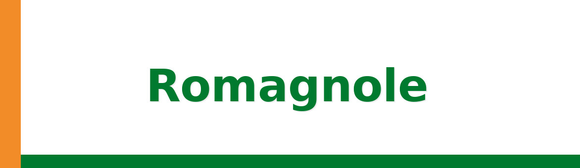 Romagnole