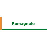 Romagnole