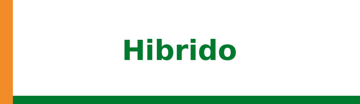 Hibrido
